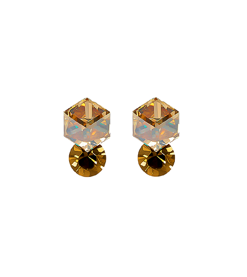 Earrings Style 46