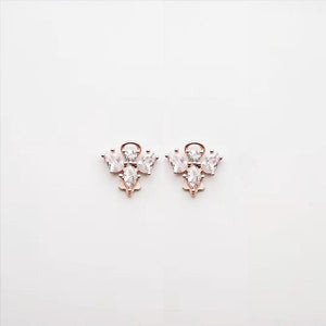 Earrings Style 15